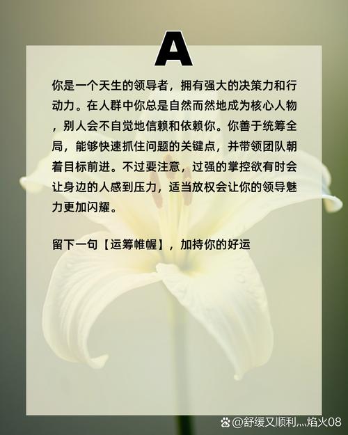 如何解读梦见桥路心理分析与高效解决方案 如何解读梦见桥路心理分析与高效解决方案