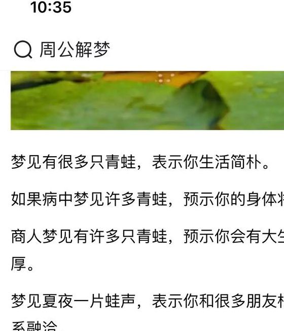 梦见蟾蜍的真实寓意解析潜在心理与生活启示