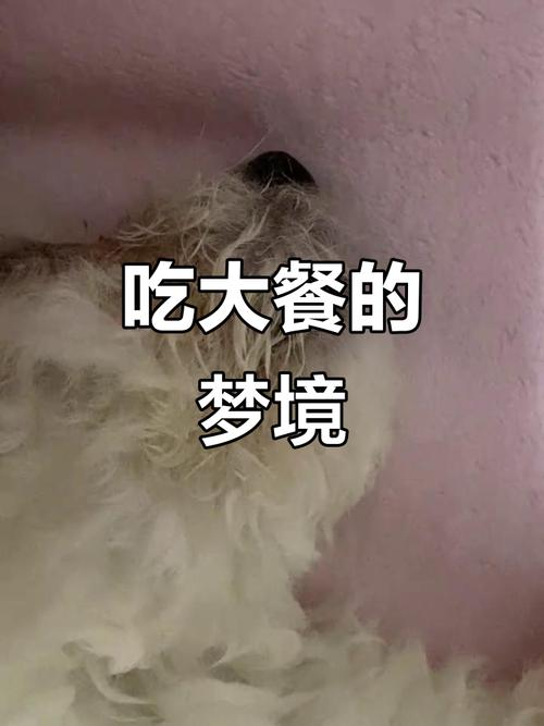 梦见吃鸡爪 vs 梦见吃素菜解析梦境象征与心理暗示