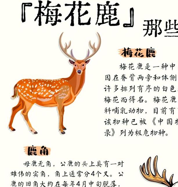 【专家解析】梦见动物园寓意及10种解梦技巧解析