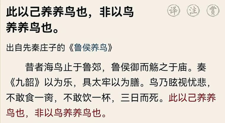 梦见百鸟群聚的深刻象征意义，解读揭示吉兆与人生启示！