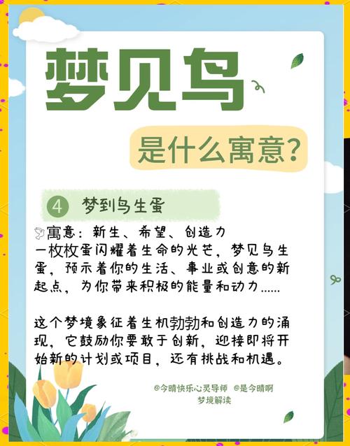 梦见捉鸟的心理暗示解析，专家揭示内心深处的不安与渴望！