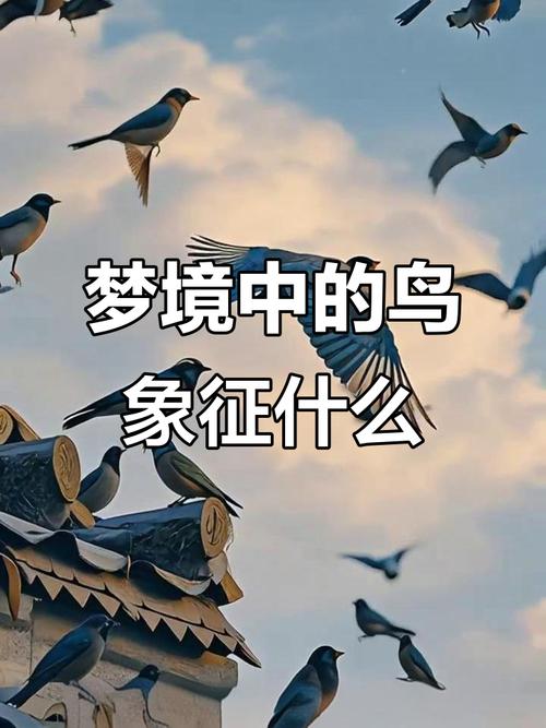 梦见捉鸟的心理暗示解析，专家揭示内心深处的不安与渴望！