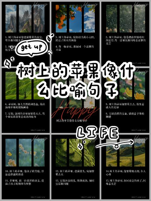 解密梦见摘苹果的象征意义，助你心灵成长与自我提升