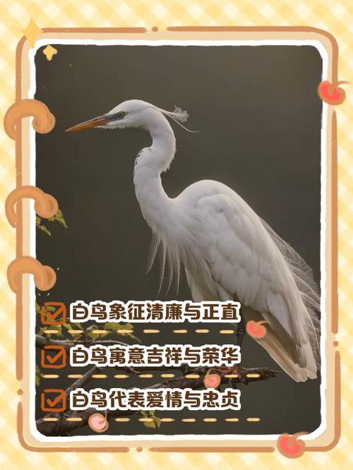 解析梦见白鹭4大象征意义与解梦指南