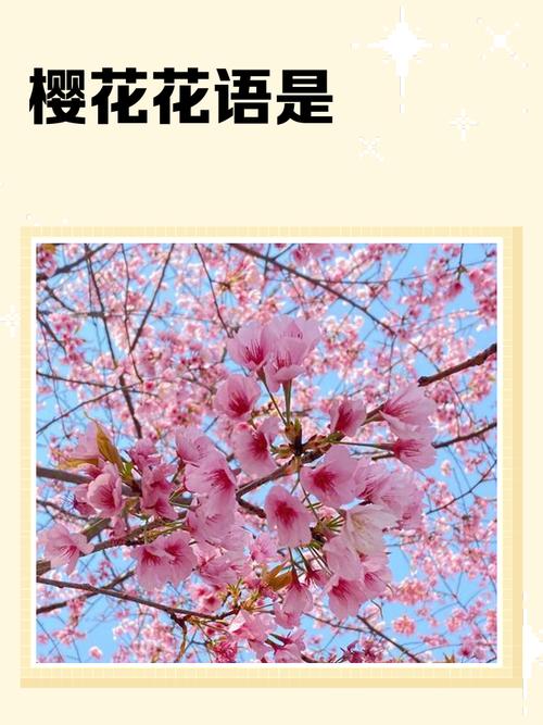 梦见樱花盛开象征解析 vs 心理暗示如何解读梦境含义？