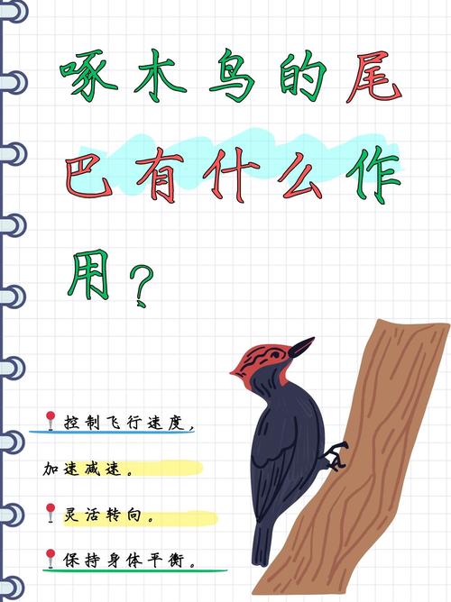 梦见啄木鸟预示哪些?解读梦境背后的深层含义 梦见啄木鸟预示哪些?解读梦境背后的深层含义