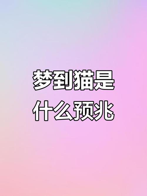 梦见白猫象征哪些？深度解析背后的潜在意义和最佳应对策略！