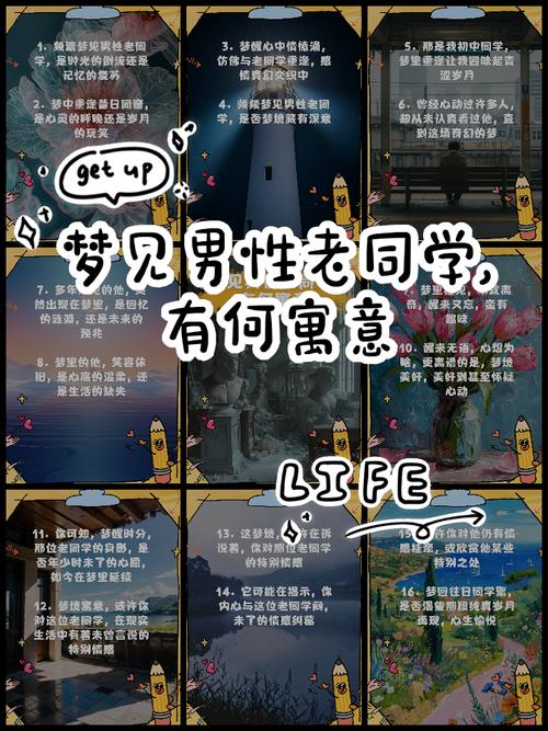 梦见同路人解析5个科学角度揭示真实含义