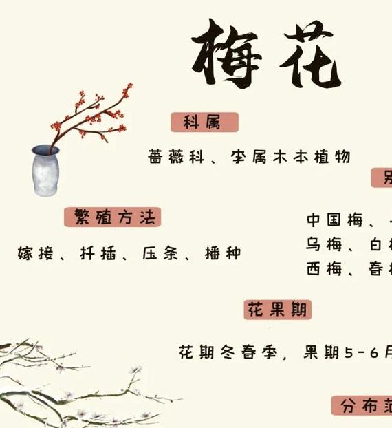 梦见梅花牌解析独特象征意义与深度心理探究！