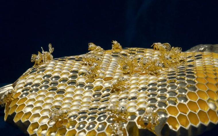 梦见蜂窝的深意解析，心理层面揭示惊喜与挑战！