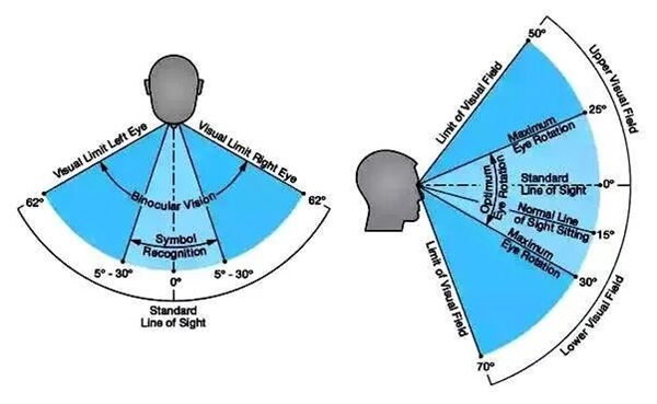 为什么我们平时看不到自己的鼻子