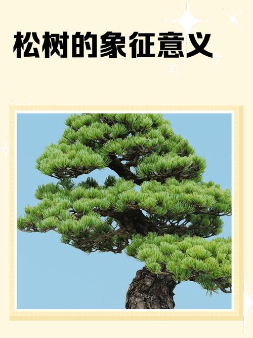 梦见爬上松树预示哪些?解析梦境象征及心理暗示 梦见爬上松树预示哪些?解析梦境象征及心理暗示