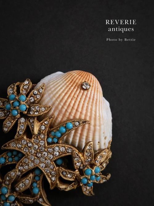 梦见贝壳胸针寓意解析探索内心潜力与财富增长技巧 梦见贝壳胸针寓意解析探索内心潜力与财富增长技巧