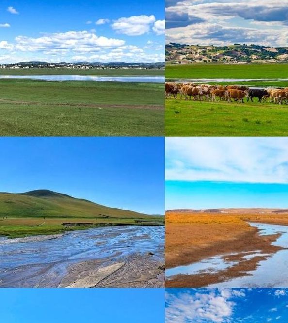 梦见辽阔大草原的深层含义解析自然与内心渴望的联系