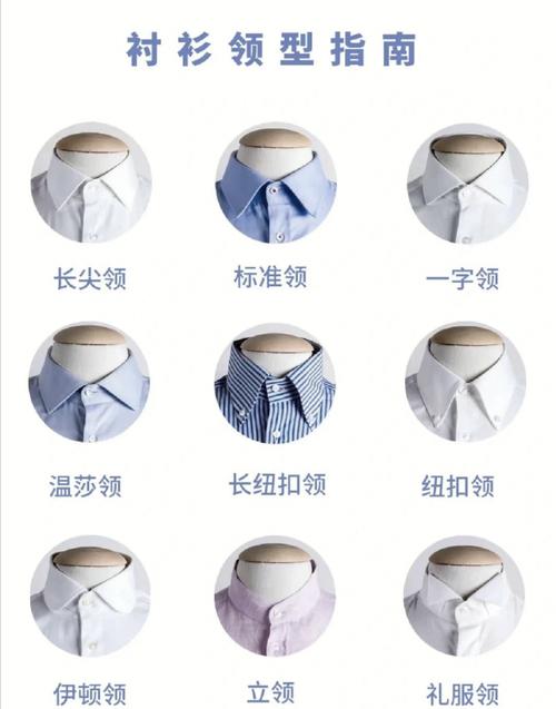 梦见衬衣的含义解读7个常见象征，提升个人运势技巧