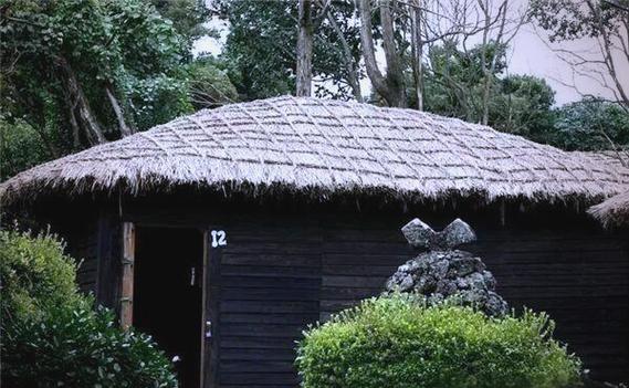 梦见草屋的6种象征意义及其内心深层解读