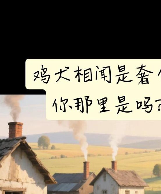 揭秘梦见鸡犬的深层含义，提升生活好运势技巧