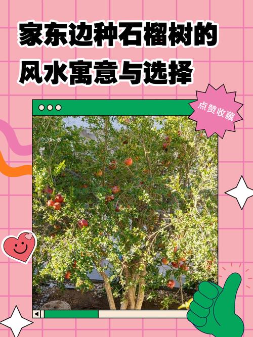 梦见石榴树预示的意义及心理分析技巧