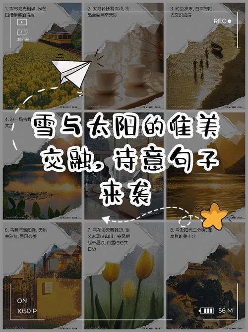 解读梦见大太阳下雪的寓意，提高情感洞察力