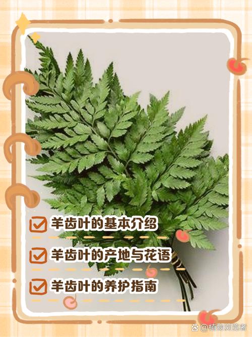 梦见羊齿植物象征哪些?深度解析其心理暗示与生活启示 梦见羊齿植物象征哪些?深度解析其心理暗示与生活启示
