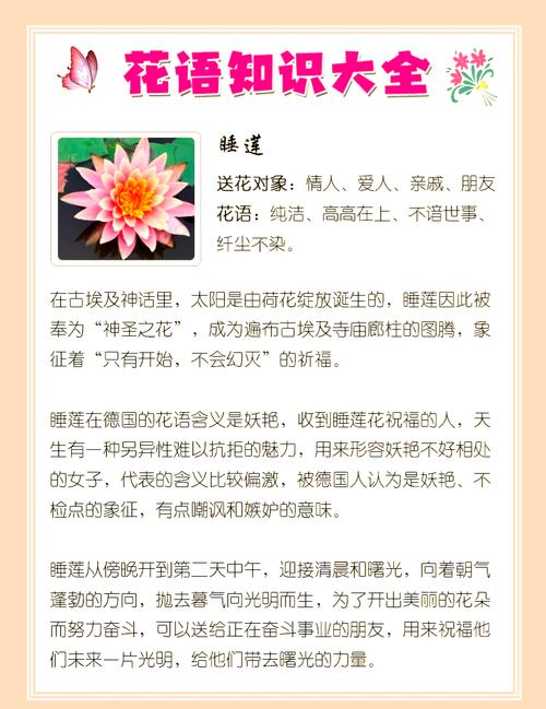 解梦解析梦见花瓣暗含的心理与生活启示