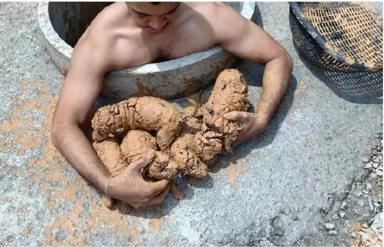 梦见污泥的象征意义及心理解析指南，提升生活洞察力