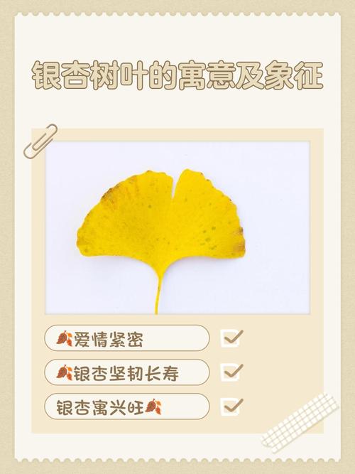 梦见叶子预示的5个象征与情感解析【权威解读】