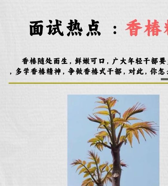 梦见椿树象征意义是哪些?解析背后心理与文化内涵 梦见椿树象征意义是哪些?解析背后心理与文化内涵