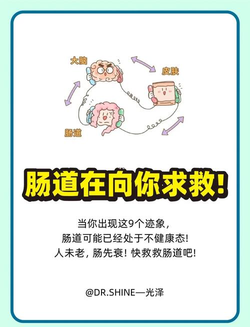 梦见肠子暗示哪些?解读梦境背后的心理信号与健康提示 梦见肠子暗示哪些?解读梦境背后的心理信号与健康提示