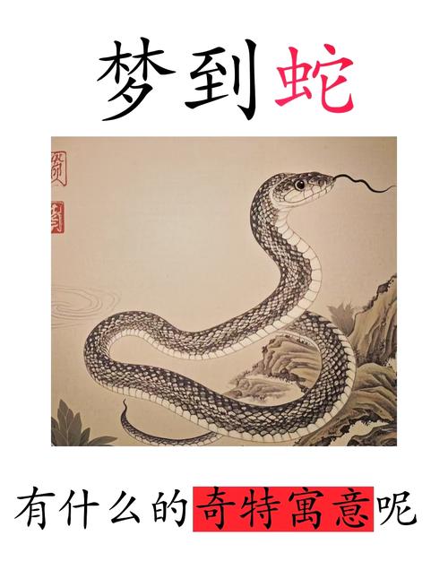 梦见黑蛇暗藏的惊人寓意，你知道几个？