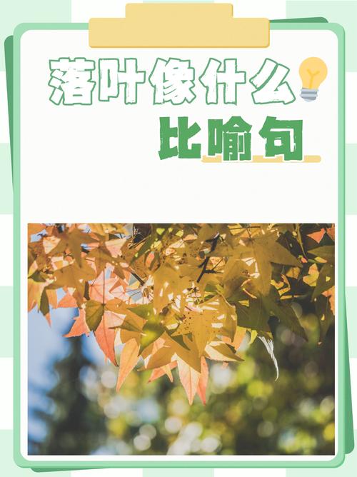 梦见落叶象征哪些？深度解析心灵暗示与生活启示