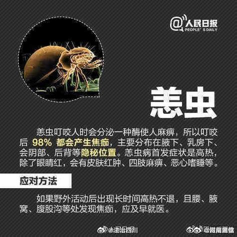 梦见身上长虫子暗示情感困扰，专家解析心理影响潜在力量！