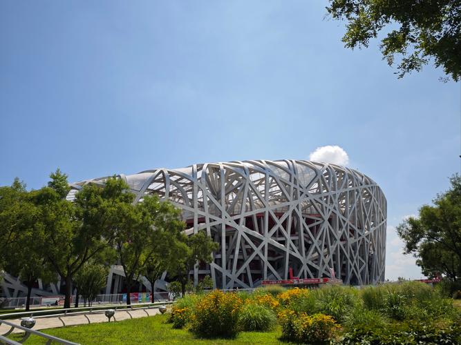 梦见鸟巢的5个象征意义与心理解析