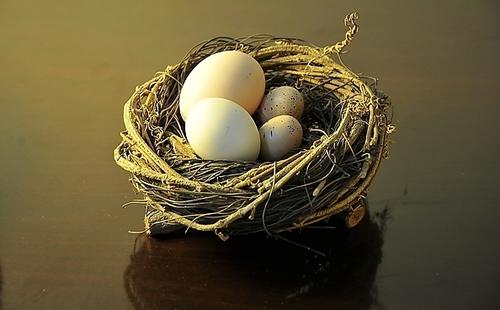 梦见鸟巢的5个象征意义与心理解析