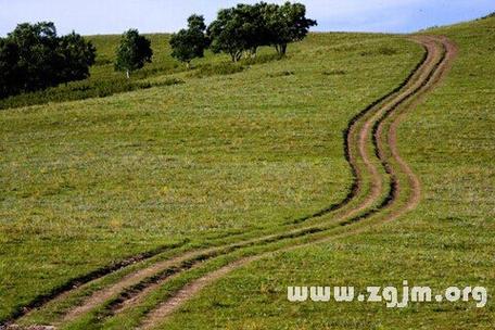 梦见车辙暗藏玄机揭示潜意识中的深层含义