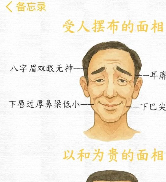 梦见络腮胡子解析象征意义与心理暗示的深层解读