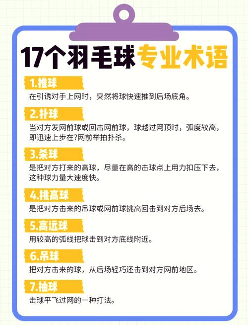 梦见羽毛球解析探索梦境背后心理暗示与生活启示