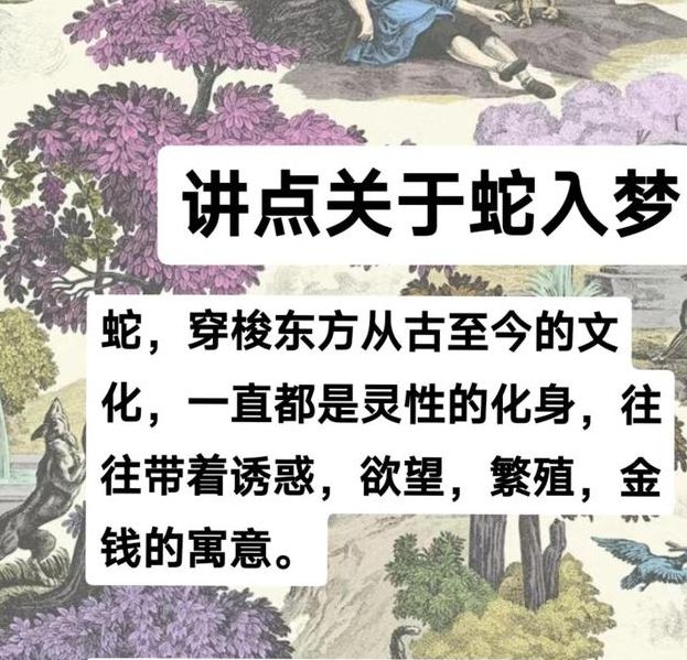 梦见大蟒蛇的深层寓意与心理解读，为生活指明方向