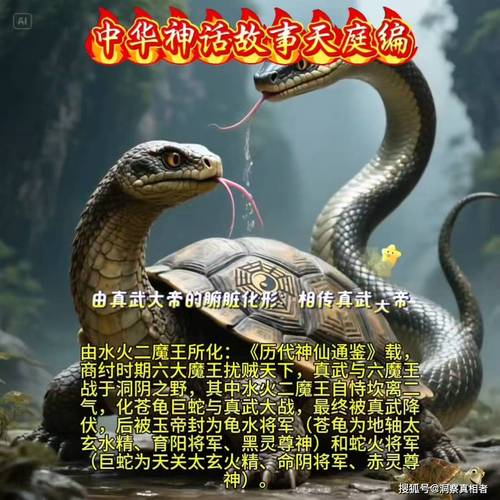 梦见龟蛇的启示解读动物象征与个人运势对比