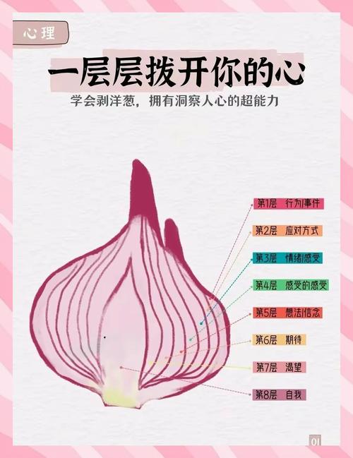 梦见洋葱的7种象征含义解析揭示梦境背后的秘密