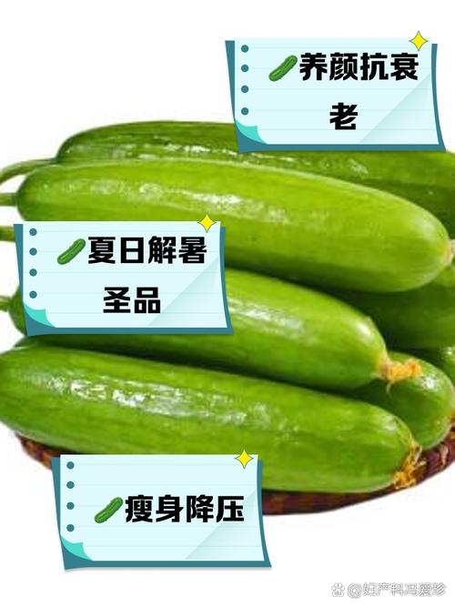 梦见小黄瓜解析心理暗示与生活启示详解