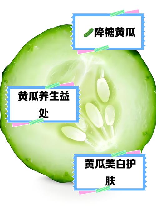 梦见小黄瓜解析心理暗示与生活启示详解