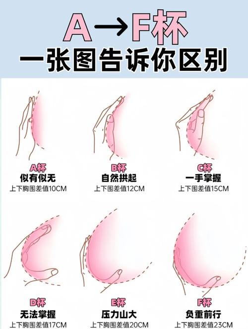 梦见胸部变大解析心理变化 vs 生理暗示的奥秘探索