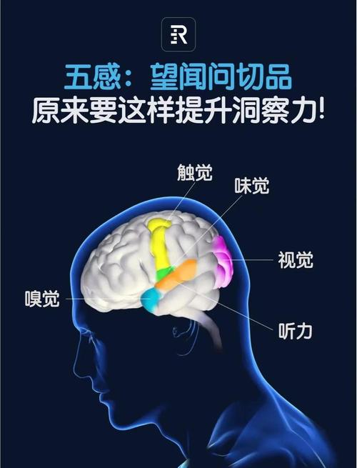 了解梦见作证人的象征意义，提升生活洞察力，解锁心灵潜能