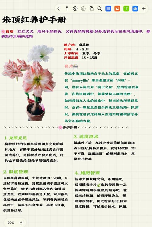 梦见番红花的深层含义解析揭示潜意识的神秘力量与生活启示