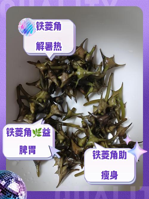 梦见菱角寓意解析提升生活运势的5个实用技巧