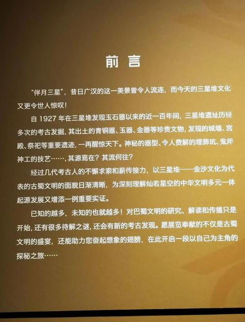 揭秘梦见博览会的深层含义解码潜意识中的创新启示