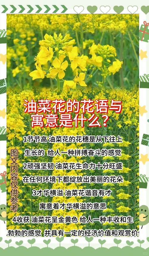 梦见油菜花预示着哪些？揭示好运与生活变化的深层含义