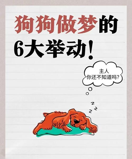 梦见自己养的动物意味着哪些？揭示背后的心理象征与启示